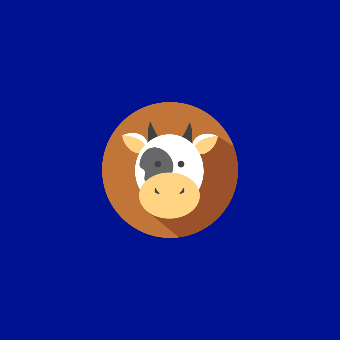 a cow